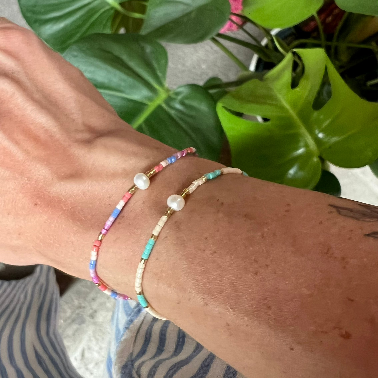 Mediterranean Collection