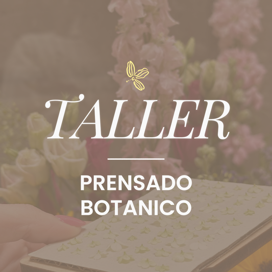 Taller de prensado botánico: crea tu cuadro de flores naturales