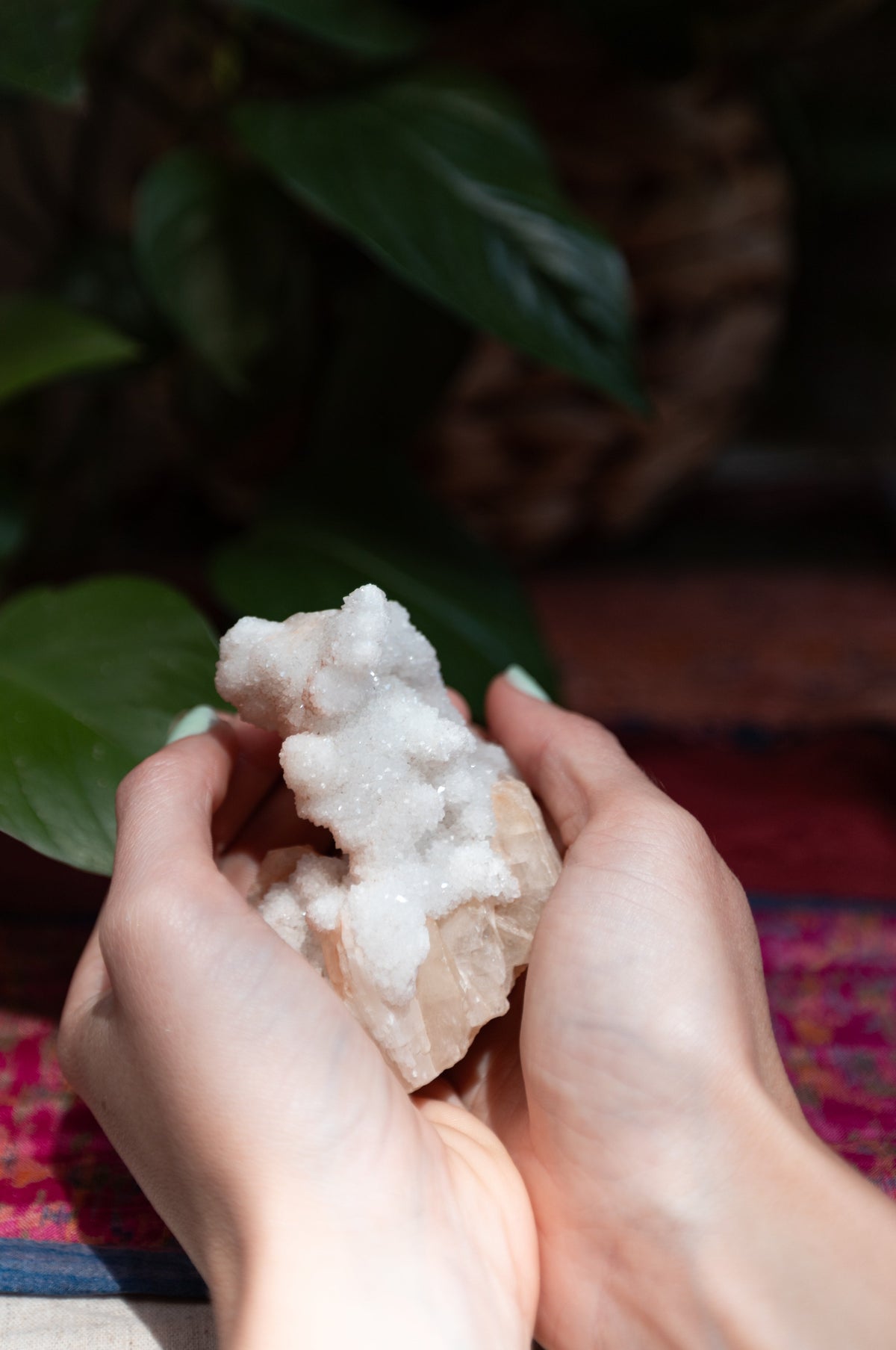 Drusa de cuarzo angélico, mineral natural de colección, en MolaMon, El Born, Barcelona