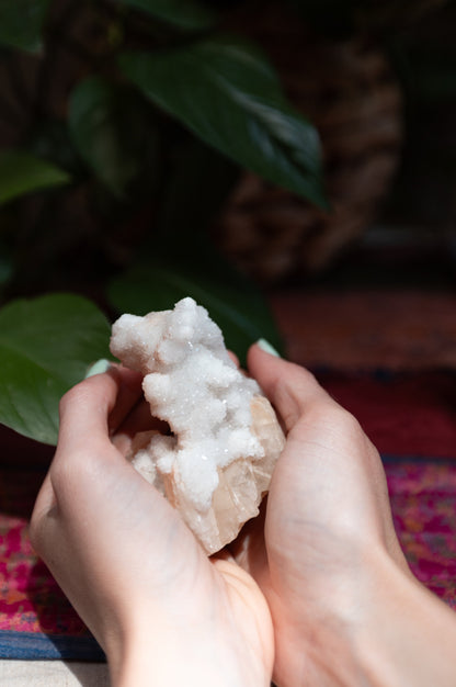 Drusa de cuarzo angélico, mineral natural de colección, en MolaMon, El Born, Barcelona